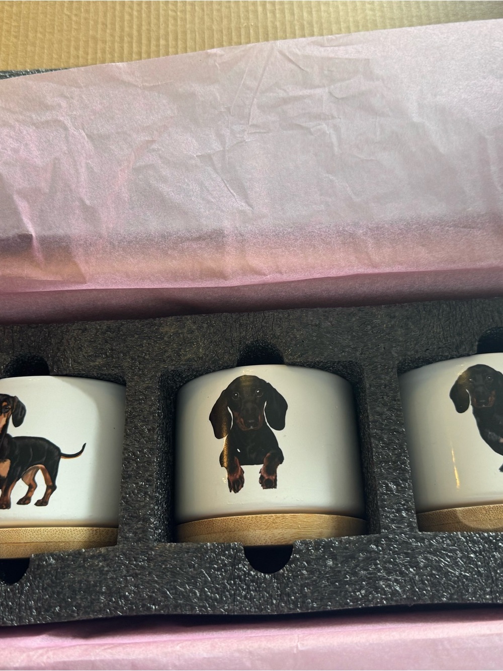 Dachshund Ceramic mini planters Set - White